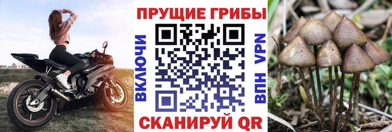 Галлюциногенные грибы Magic Shrooms  цена   Юрьевец 